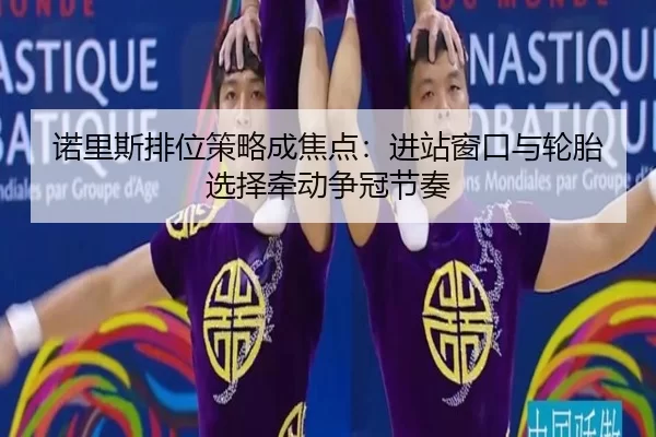 nuo-li-si-pai-wei-ce-lve-cheng-jiao-dian-jin-zhan-chuang-kou-yu-lun-tai-xuan-ze-qian-dong-zheng-guan-jie-zou-3-485.jpg