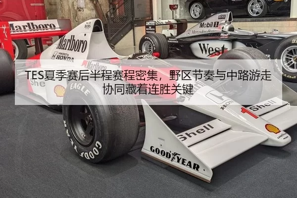 TES夏季赛后半程赛程密集，野区节奏与中路游走协同藏着连胜关键